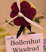 Ganz alternativ: Bollenhut-Windrad